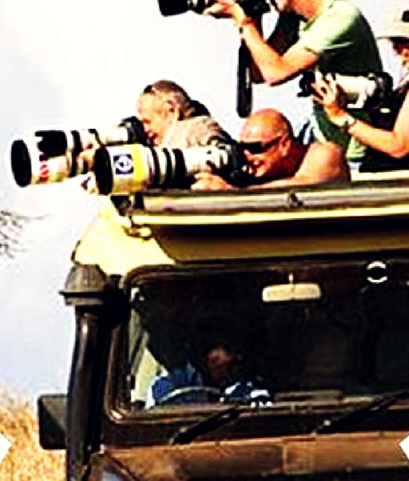 Four wheel drive safari vehicle on game drive